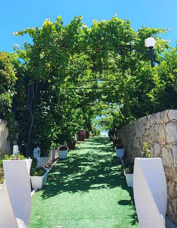 B&B Villa Antonella Пьяцца-Армерина Экстерьер фото