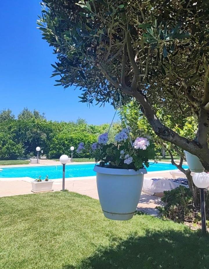 B&B Villa Antonella Пьяцца-Армерина Экстерьер фото